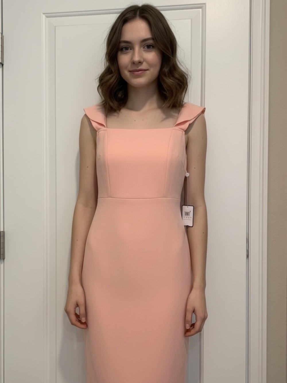 NWT Laundry by Shelli Segal English Rose Pink Sleeveless Dress Women’s 6